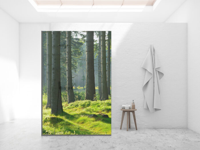 Duschtrennwand für Walk-in Duschen Lichtwald