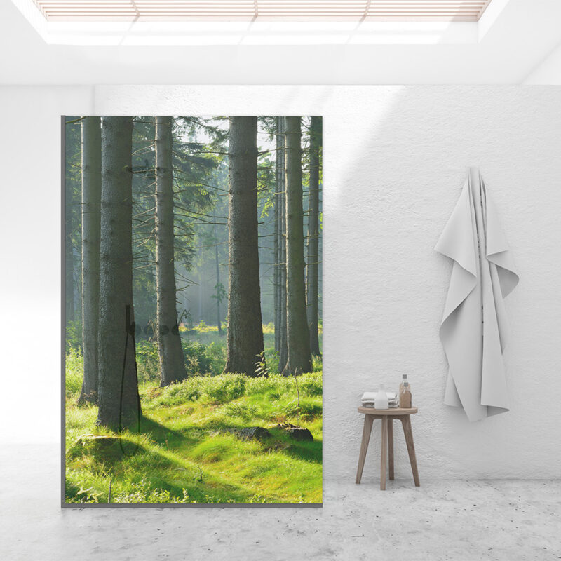 Duschtrennwand für Walk-in Duschen Lichtwald