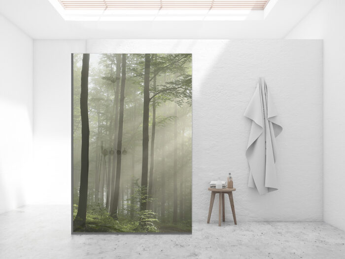 Duschtrennwand für Walk-in Duschen Nebelpfad