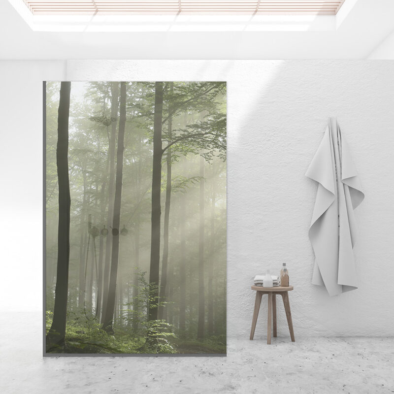 Duschtrennwand_140x210_Nebelpfad Duschtrennwand für Walk-in Duschen Nebelpfad