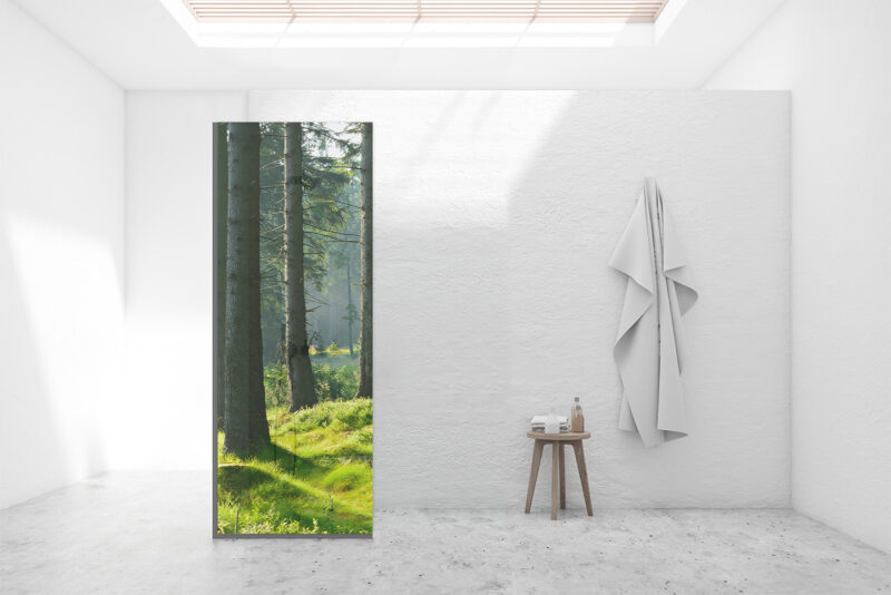 Duschtrennwand für Walk-in Duschen Lichtwald