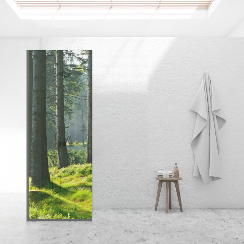 Duschtrennwand für Walk-in Duschen Lichtwald