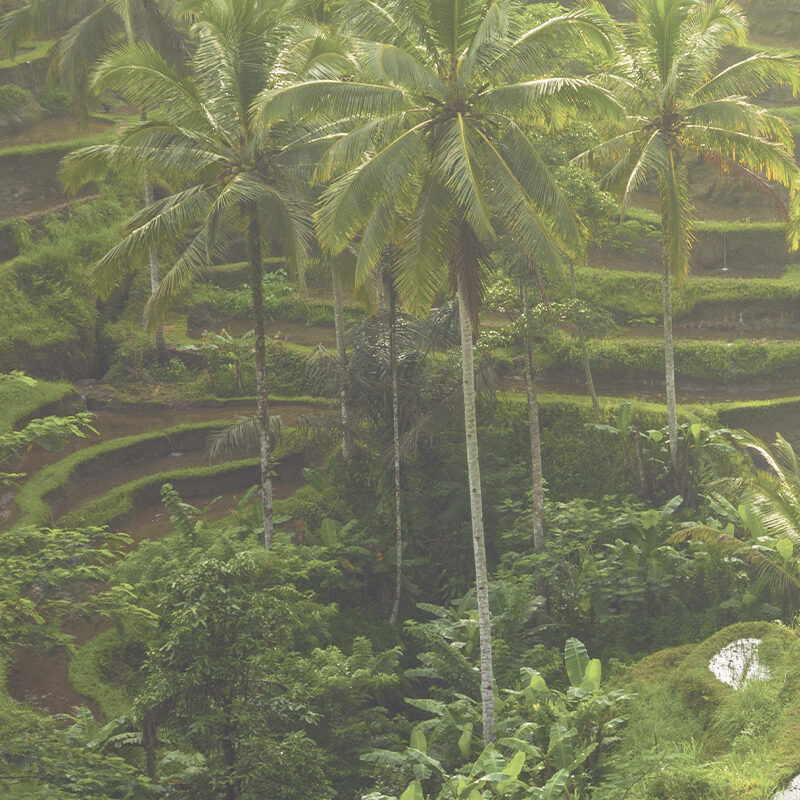 Duschtrennwand für Badewannen Bali