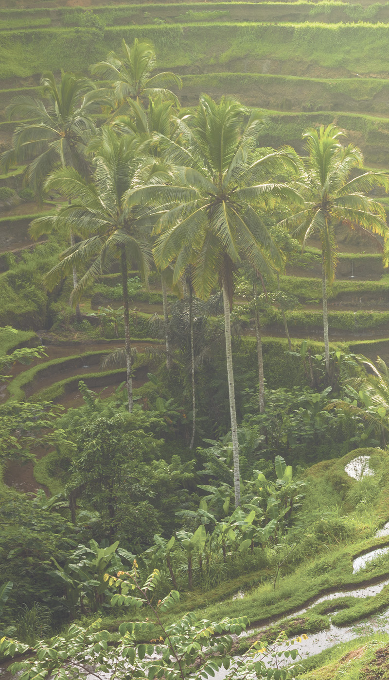 Duschtrennwand für Badewannen Bali