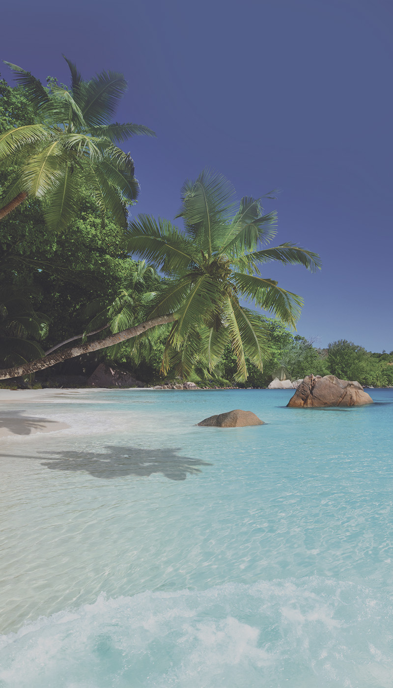 Duschtrennwand für Badewannen Palmenstrand