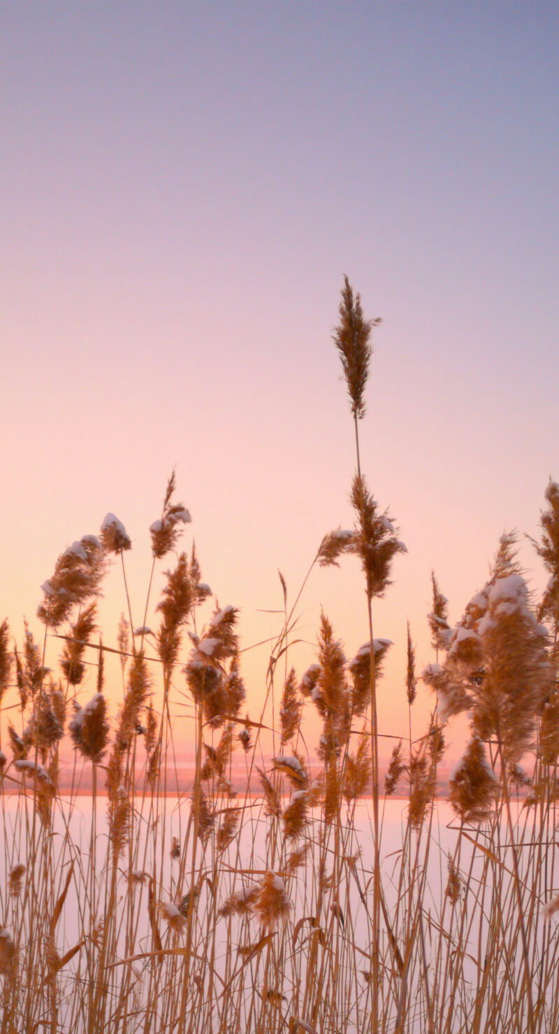 Motiv_Winterabend-Vorschau Wandverkleidung Winterabend