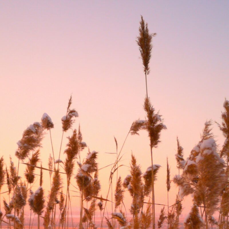 Motiv_Winterabend-Vorschau Wandverkleidung Winterabend