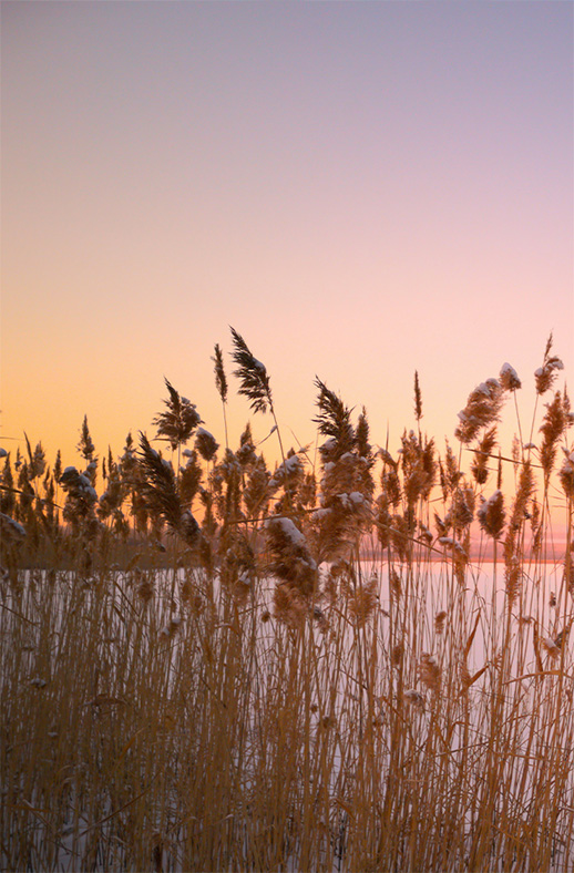 Motiv_Winterabend_140x210 Duschtrennwand für Walk-in Duschen Winterabend