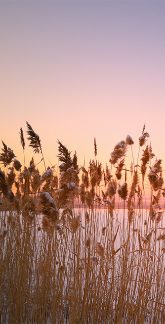 Motiv_Winterabend_80x140 Duschtrennwand für Badewannen Winterabend