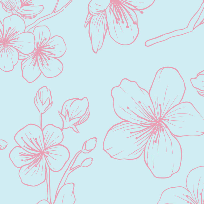 Tapete cherry illustration blue