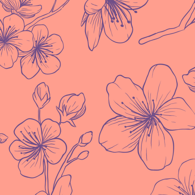 Tapete cherry illustration pink