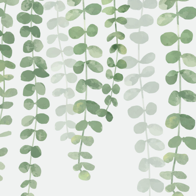 Tapete hanging leaves