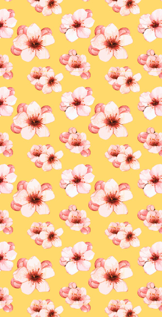 Duschtrennwand für Cherry Blossom