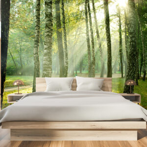 Tapete Waldlicht