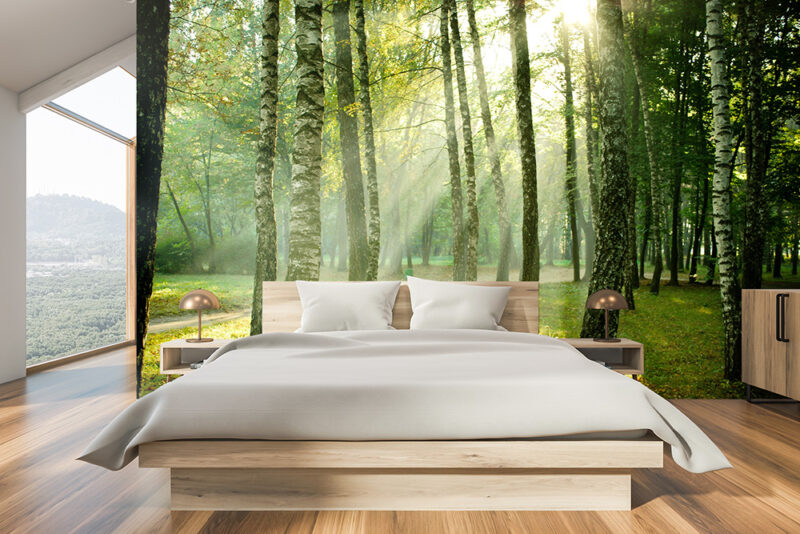 Tapete Waldlicht