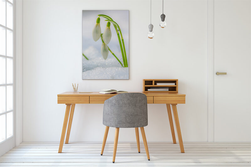 Akustikbild Snowdrop