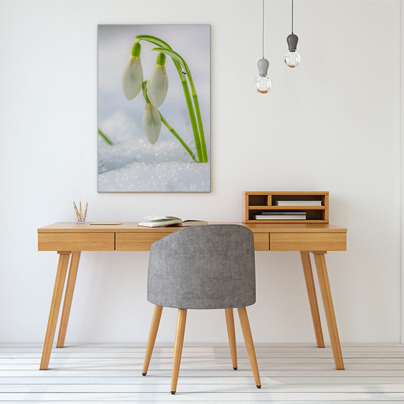 Akustikbild Snowdrop