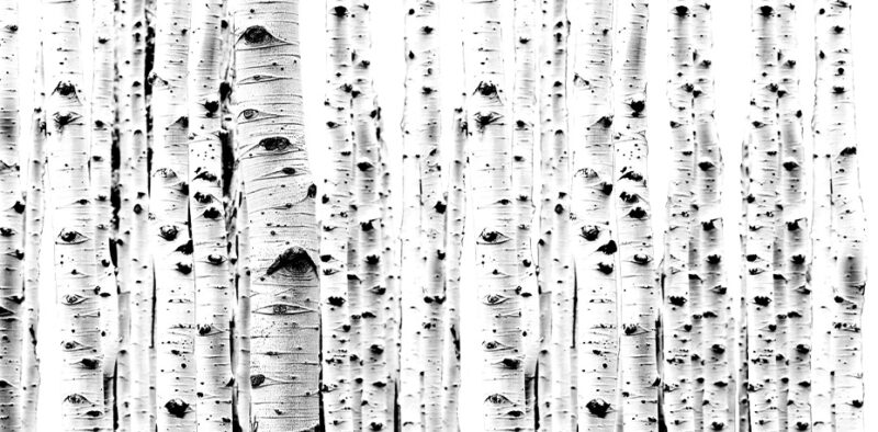 Bettkopfteil Nordic Birch