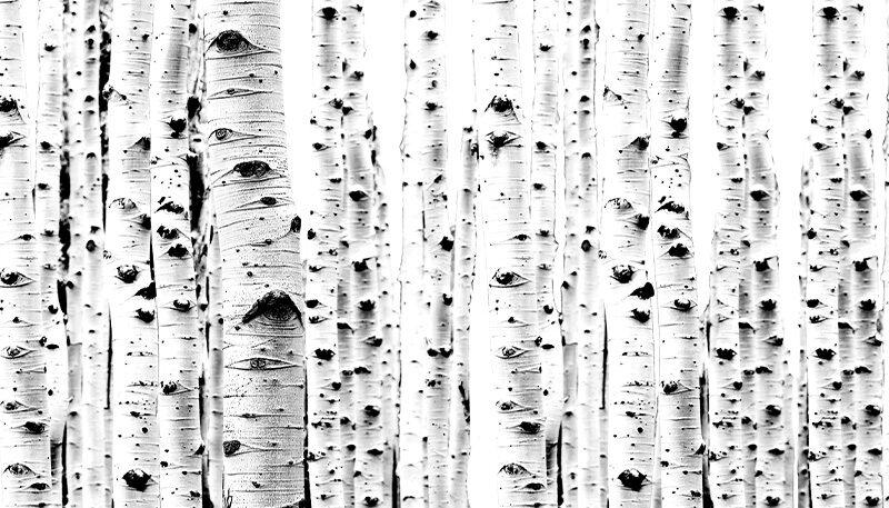 Bettkopfteil Nordic Birch
