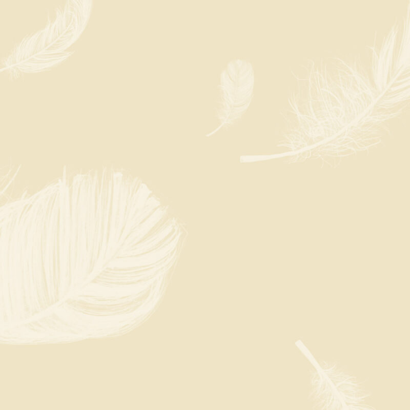 Detail_feathers-beige Tapete Feathers Beige