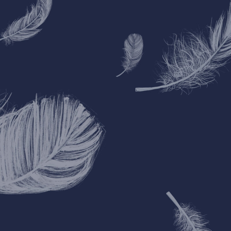 Detail_feathers-blue Tapete Feathers Blue