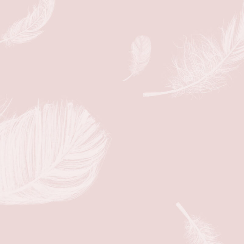 Detail_feathers-rosa Tapete Feathers Rosa