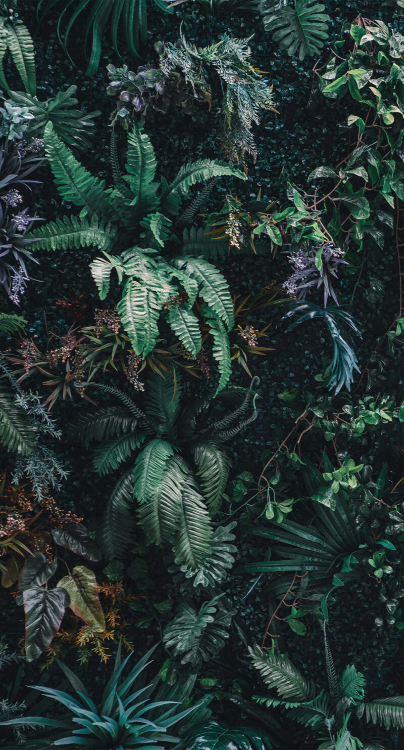 Wandverkleidung Blätterdschungel