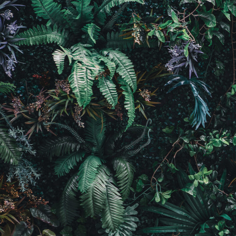 Wandverkleidung Blätterdschungel