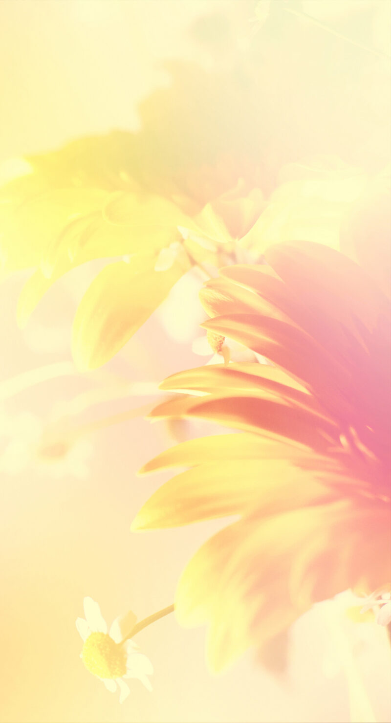 Wandverkleidung Blumenfokus