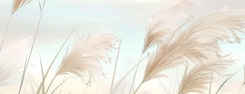 Auflegeglas für Kommoden Leises Schilf