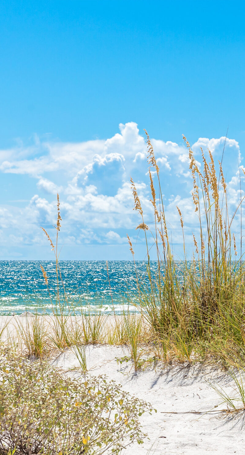 Wandverkleidung Strand