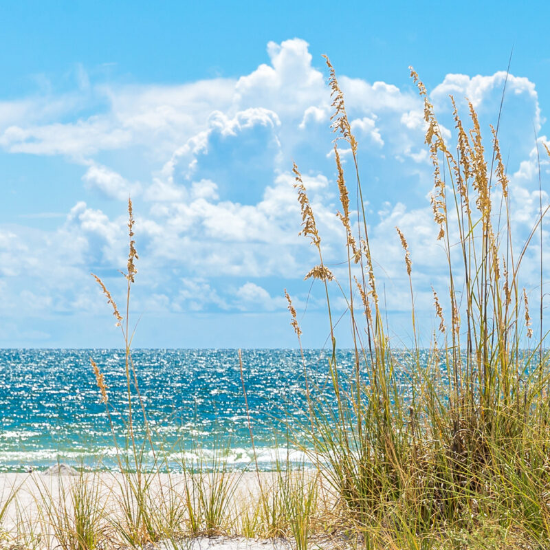 Wandverkleidung Strand