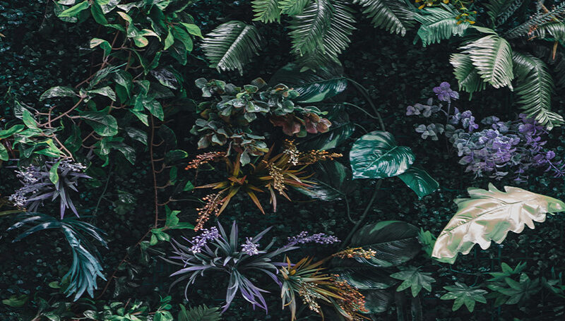 Küchenrückwand Blätterdschungel