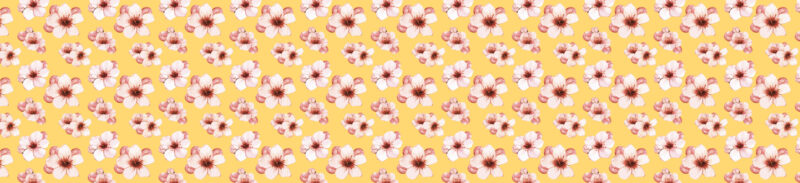 Küchenrückwand Cherry Blossom