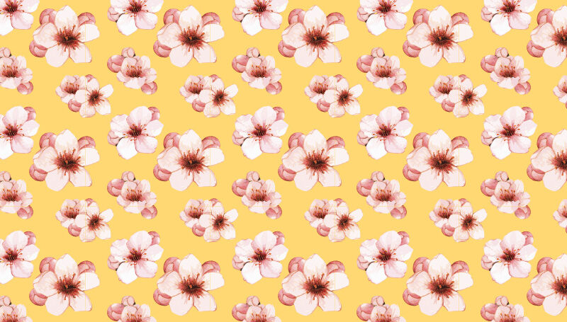 Küchenrückwand Cherry Blossom