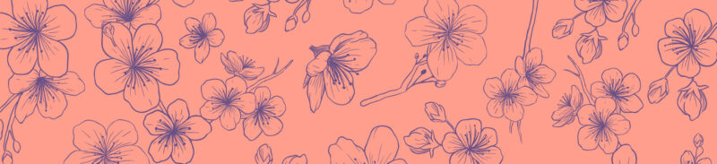 Küchenrückwand Cherry Illustration Pink