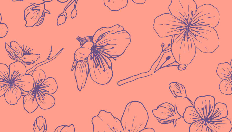 Küchenrückwand Cherry Illustration Pink