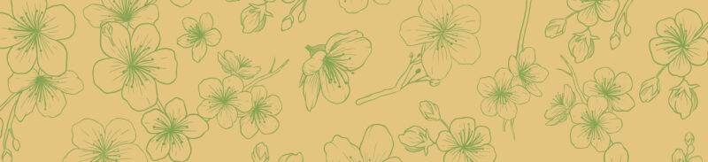 Küchenrückwand Cherry Illustration Yellow