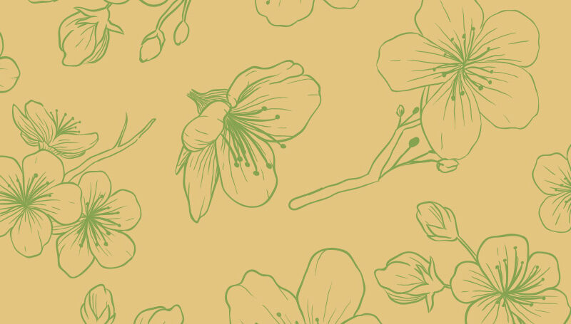 Küchenrückwand Cherry Illustration Yellow