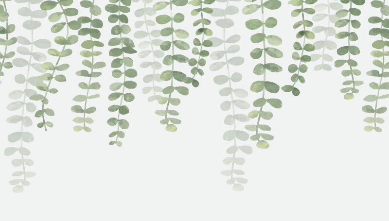 Motiv_hanging-leaves_250x60 Küchenrückwand Hanging Leaves