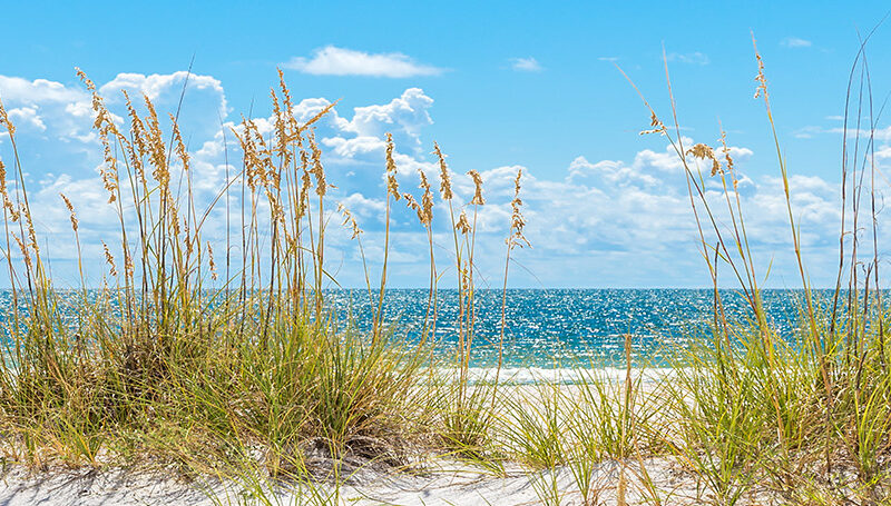 Küchenrückwand Strand