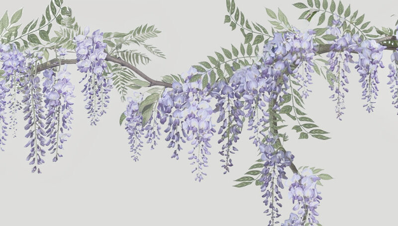 Küchenrückwand Wisteria