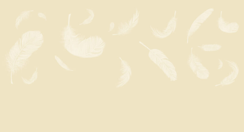 Tapete_500x270_Bahnen_feathers-beige Tapete Feathers Beige