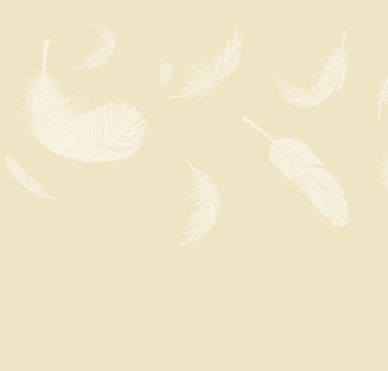 Tapete_500x270_Bahnen_feathers-beige Tapete Feathers Beige
