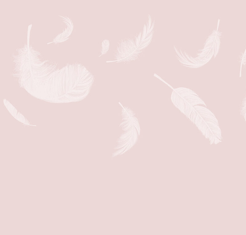 Tapete_500x270_Bahnen_feathers-rosa Tapete Feathers Rosa