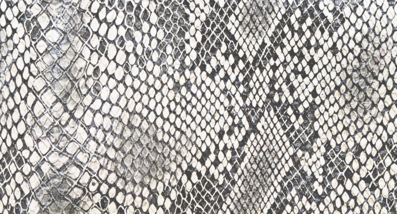 Tapete Schlangenhaut