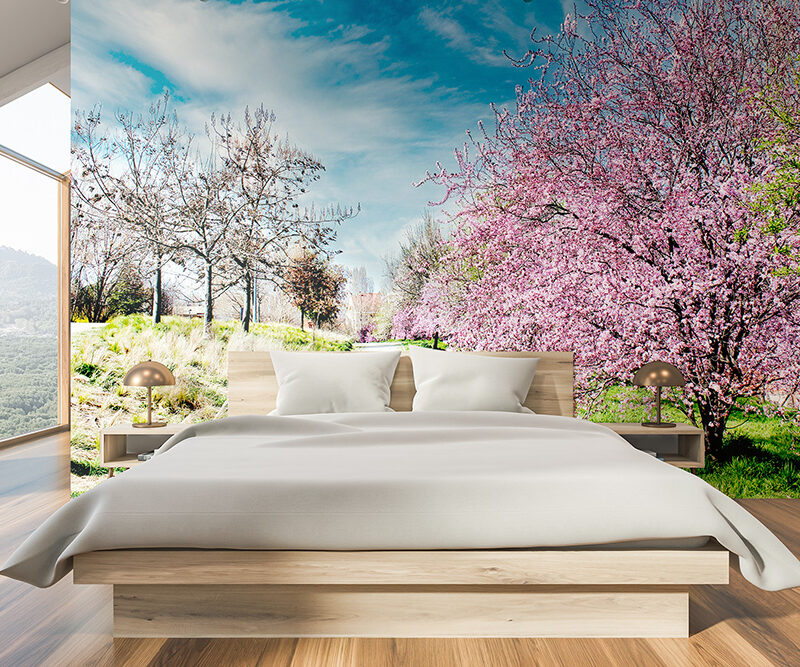 Tapete Frühlingsspaziergang