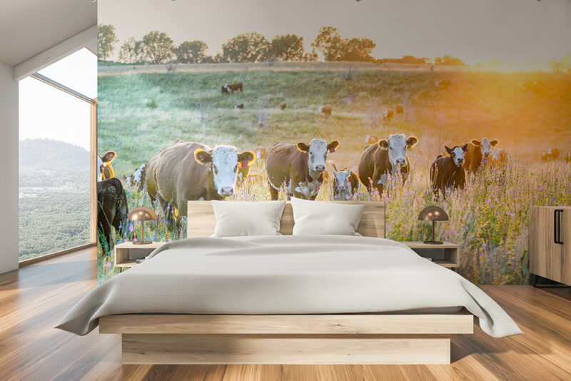 Tapete Kuhweide