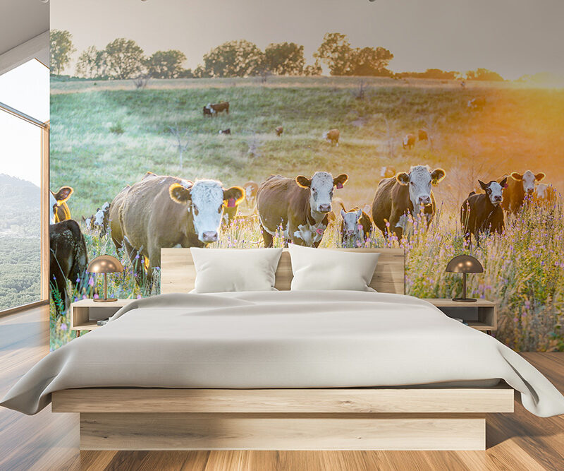 Tapete Kuhweide