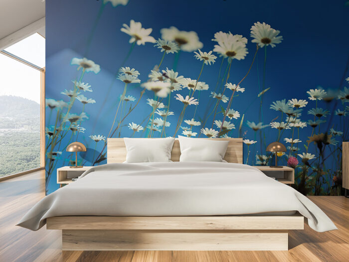 Tapete Margeritenwiese